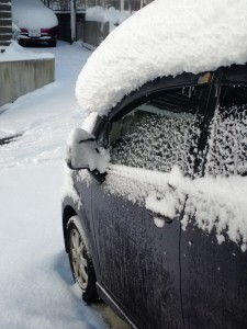 2016年1月大雪